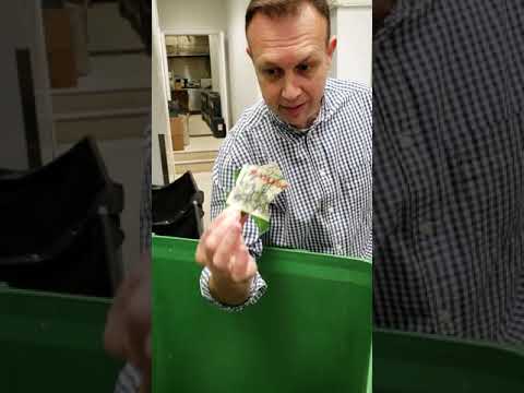 LeDomduVin: Defacing labels and smashing expensive bottles of Bordeaux wines (video 2/2)