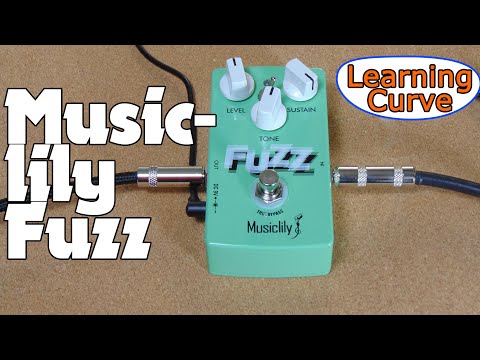 MusicLily Fuzz