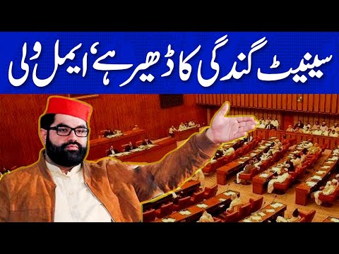 سینیٹ گندگی کا ڈھیر ہے، ایمل ولی کی تنقید