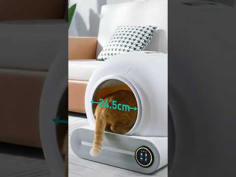 The pet smart cat litter box can better help cats clean up feces and unblock mother's hands