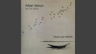 Blick durch die Pappeln zum Himmel