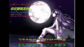 Anh còn muốn em phải làm sao ? 你还要我怎样 - Ni hai yao wo zen yang