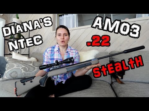 Diana Stealth .22 Air Rifle + 25 & 50 Yard Accuracy TEST + FULL REVIEW - Break Barrel Pellet Gun