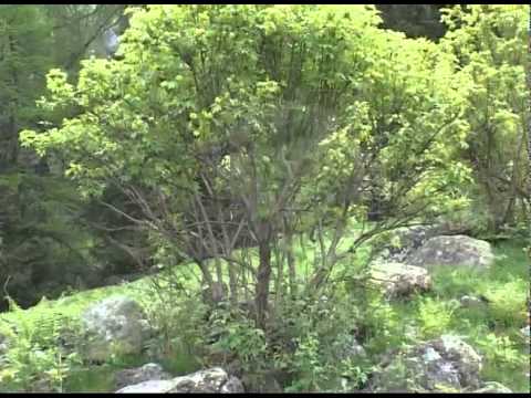 ASSORIFUGI RILANCIA LA MONTAGNA