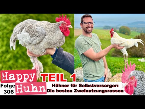 Teil 1: Hühner für Selbstversorger: Die besten Zweinutzungsrassen für Eier + Fleisch HAPPY HUHN E306