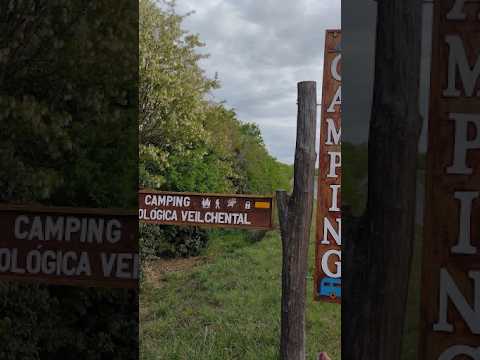 Camping Granja Veilchental. Villa General Belgrano #sierrasdecordoba #calamuchita #camping #acampar