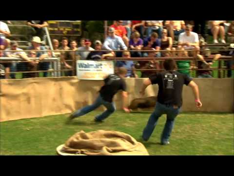 2011 Wild Hog Catching World Championship and Festival - Ty and Brian