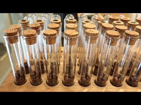 Sando Ba x Omotesando Koffee