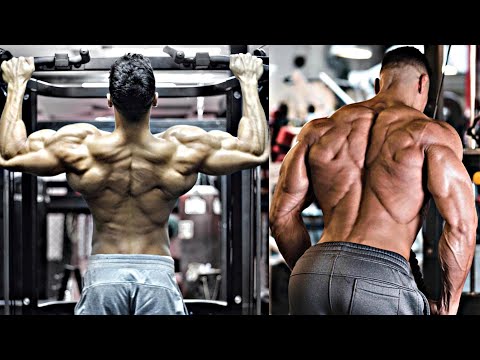 Full Back Workout With Andrei Deiu