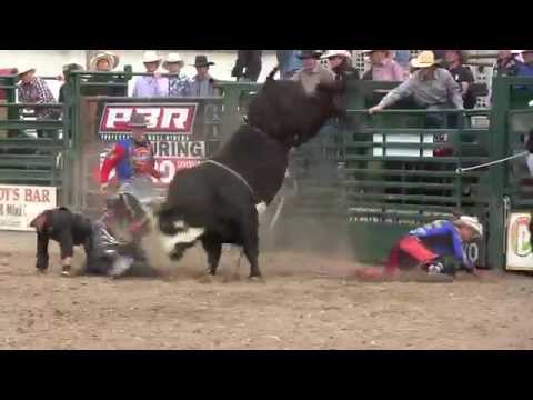 Bird Bucking Bulls' Kung Foo Panda scores a 44 (PBR)