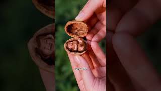 Download lagu um alagana kangal ennai kandathale. #christianstatus #amen #christiansongs #kidsvideo #jesuslovesyou mp3