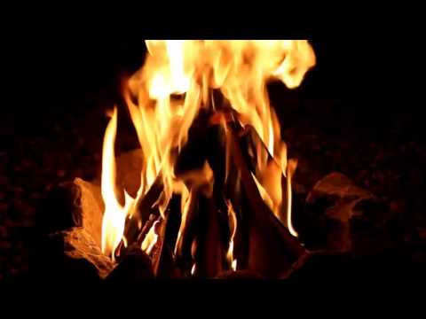 Heinrich IV    Märtyrer im Kampf um das Königtum