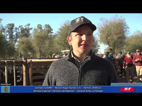 29-04-22 - Germán Scheffer - Nestor Hugo Fuentes S.A. - Remate Destetes del Natural - Gral.  Acha