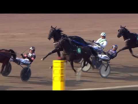 Uttagningslopp 3 Svenskt Trav Oaks 2023 - Elegance Kronos