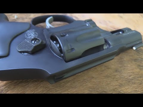 Smith \u0026 Wesson Model 43C  22LR