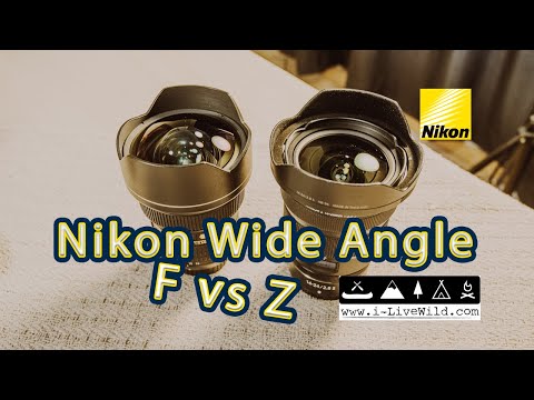 Nikon Wide Angle Review │F vs Z │14-24mm f2.8 │Nikon z7ii