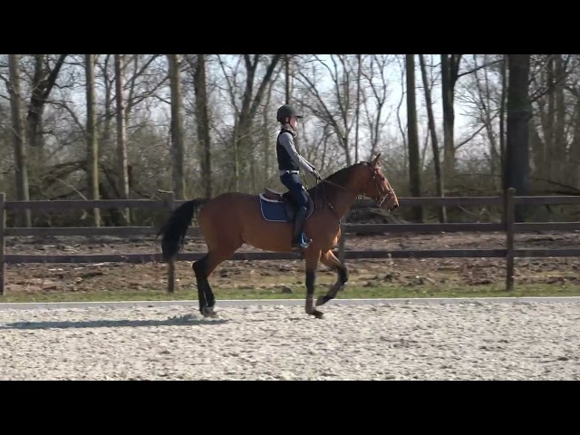 jumping under the saddle