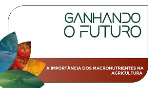 The importance of macronutrients in agriculture