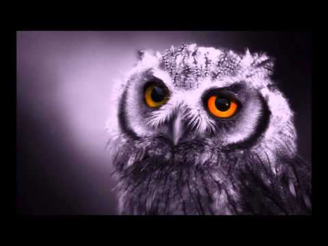 Reflect - Μεν το παλεύκεις