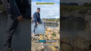 Fogo e Gelo na América do Norte - Essa é Nossa Terra