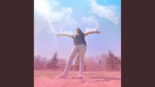 Little Bird