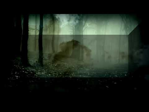 WARMI - ODSTUP (Prod. FORMI)