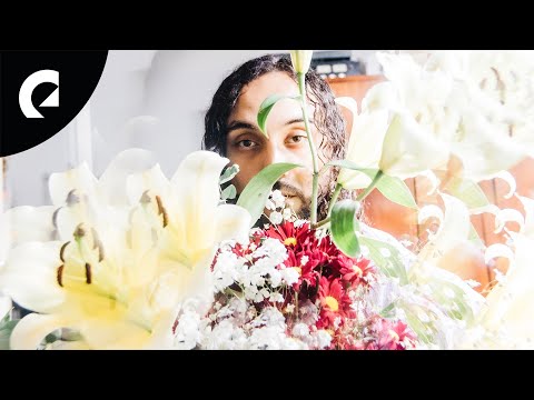 Bambi Haze - Malecón