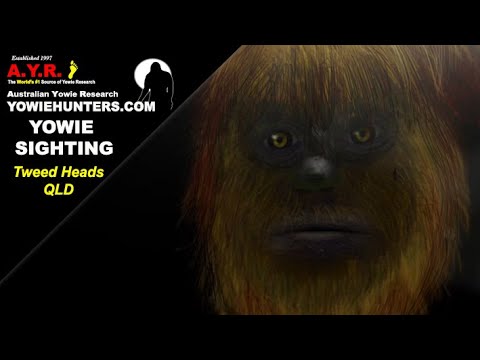 AYR Yowie / Bigfoot Sighting (Audio Report #198), at Tweed, New South Wales - Queensland