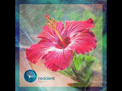 Gabsy, ADDFX _ Misirlou (Extended Mix)