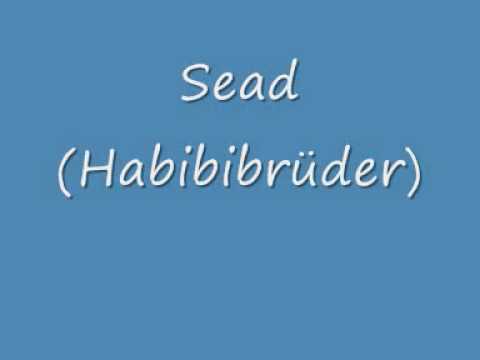Sead Habibibrüder