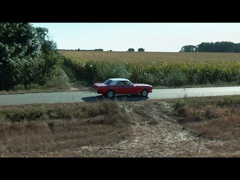 Avi x Gibbs - 30 stopni