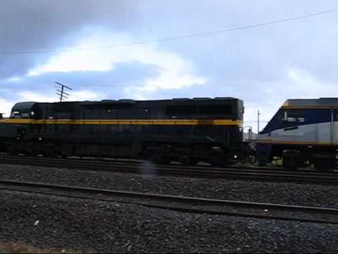 C501 EL52 and G521 - El Zorro Grain