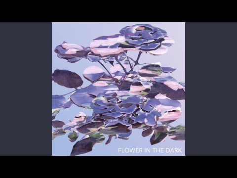 コッケードの花 植物