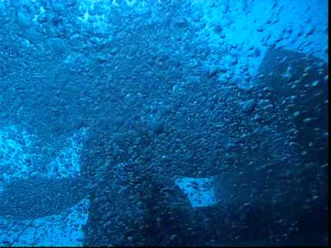 Christian Francis Finding HMS Victoria The Vertical Wreck Lebanon Part 2/5