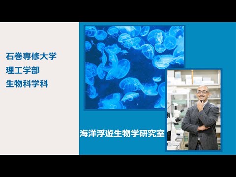 【研究室紹介 EX】生物科学科『海洋浮遊生物学研究室』