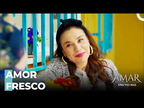 Fikriye A Confundido A Cemile - Amar Una Vez Más