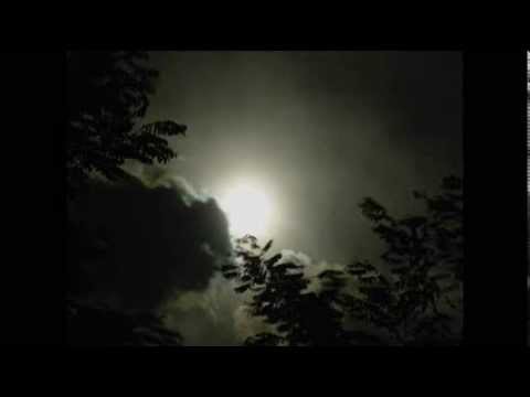 Edward Ka-Spel - Here Comes The Night