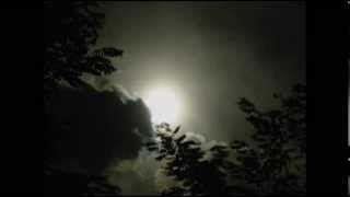 Edward Ka-Spel - Here Comes The Night