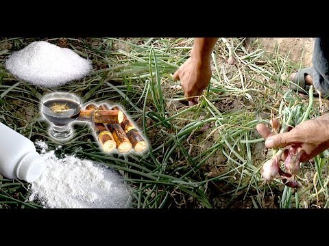 Herbal slimming spray rate Slimming sa Belarus