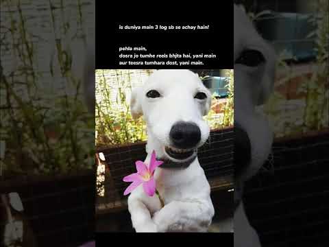 Share with your friends and let them know 🤣