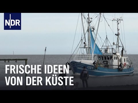 Halbinsel Butjadingen: Unterwegs zwischen Jade und Weser | Nordseereport | NDR Doku