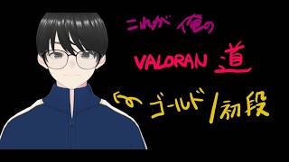 【VALORANT】　VTuberデビュー　【コラボ配信】