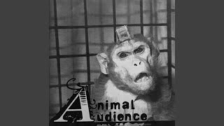 This is what you Deserve