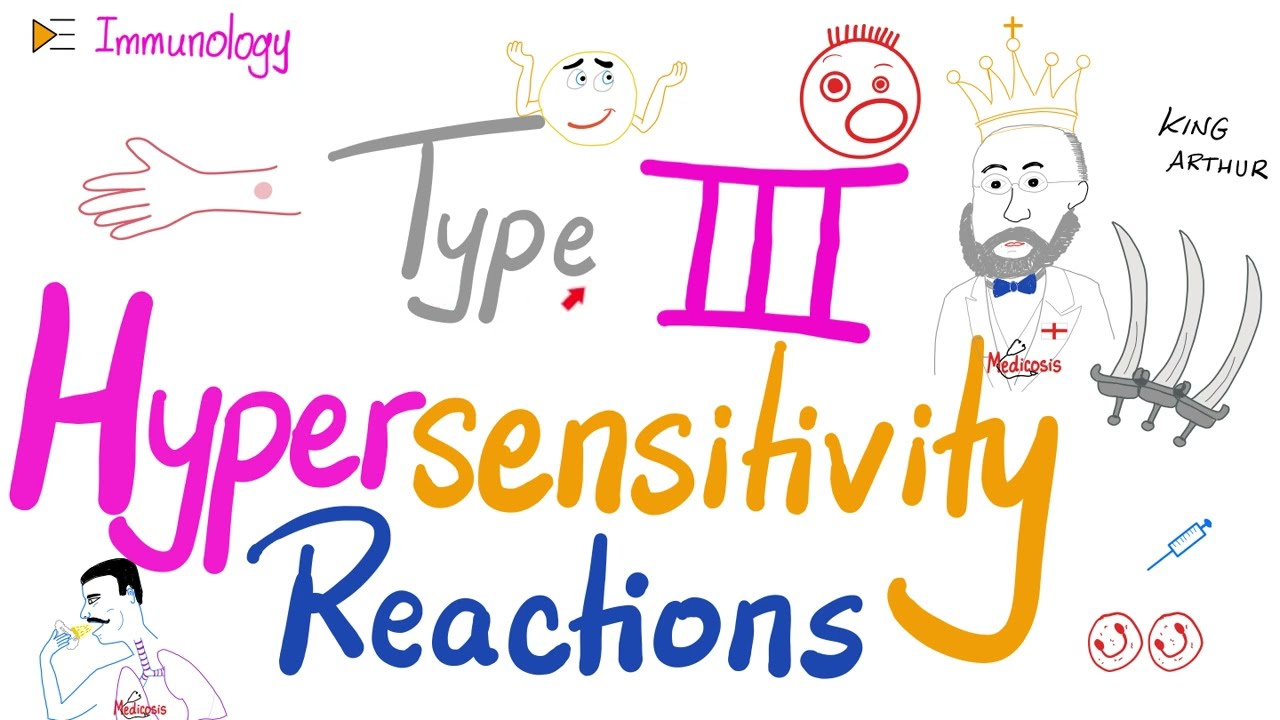 Type III Hypersensitivity Reaction (HSN-III) | Immunology - YouTube