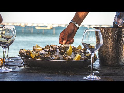 ZEDIM - CARAMELO // 2025