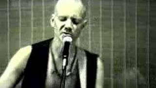 Michael Hedges - Woman of the World