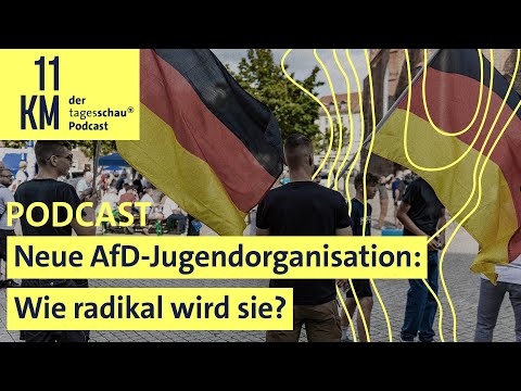 Neue AfD-Jugendorganisation: Wie radikal wird sie? | 11KM - der tagesschau-Podcast