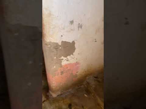 Obrazek poglądowy filmu YouTube