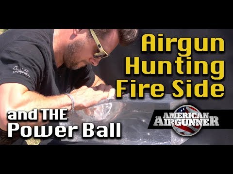 Air Rifle for Hunting Deer Discussion : RWS Power Ball Air Gun Pellet