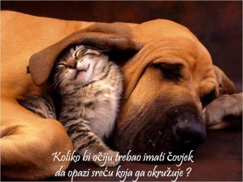 Zrnca mudrosti ~ William Shakespeare